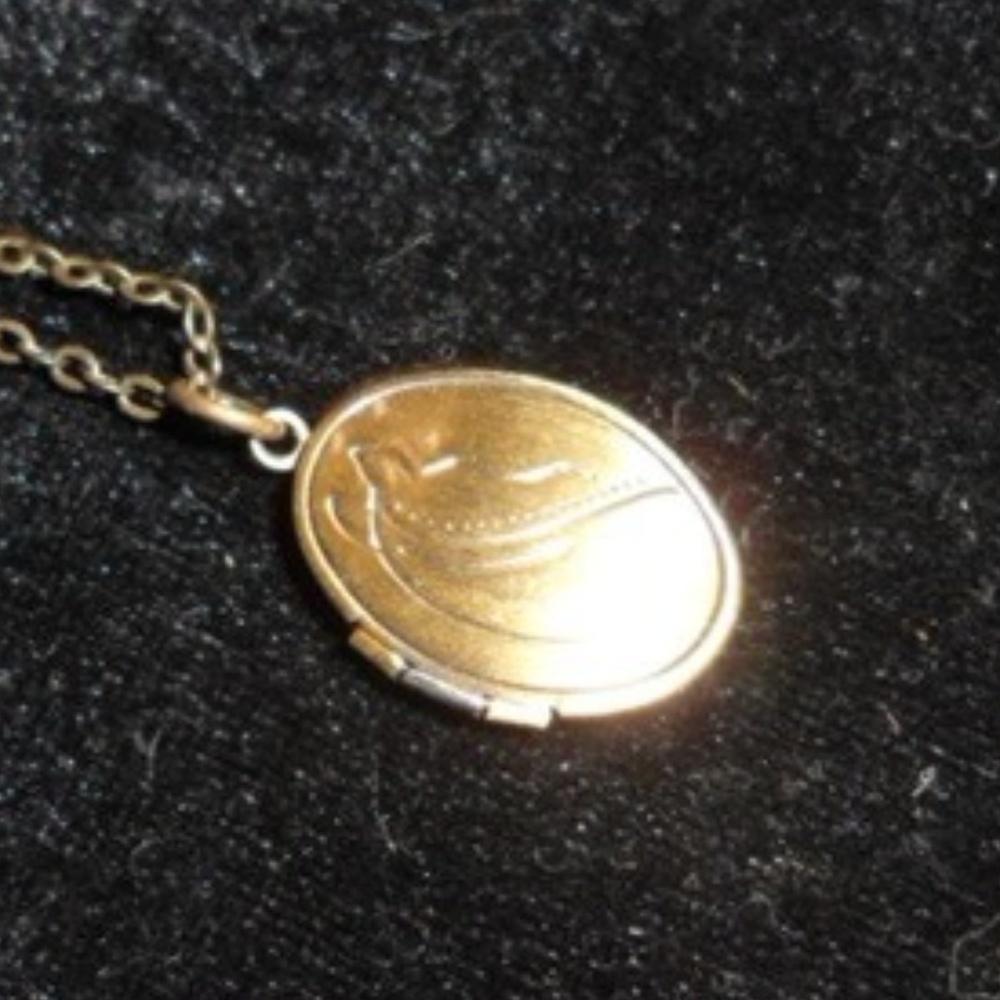Bronze Horse Locket Necklace
